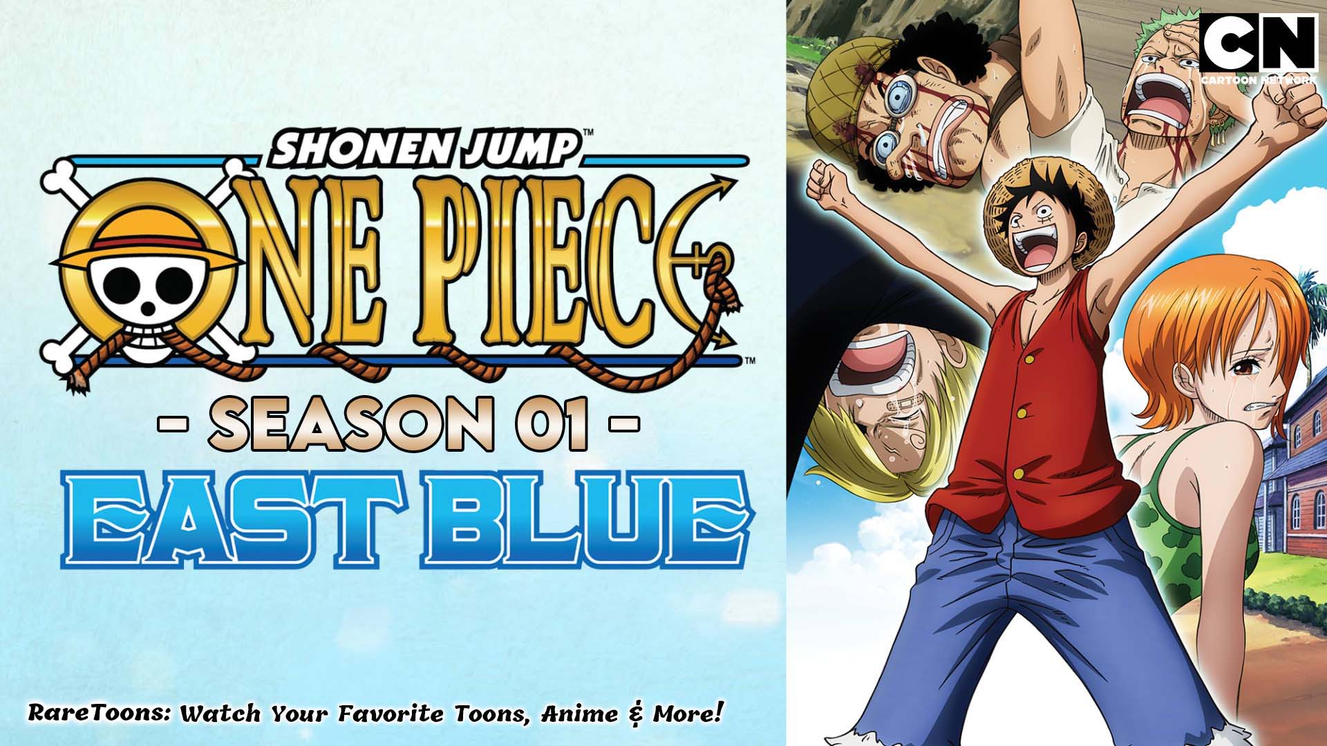 One Piece Season 01 – Episodes Hindi – Tamil – Telugu Dubbed Download HD